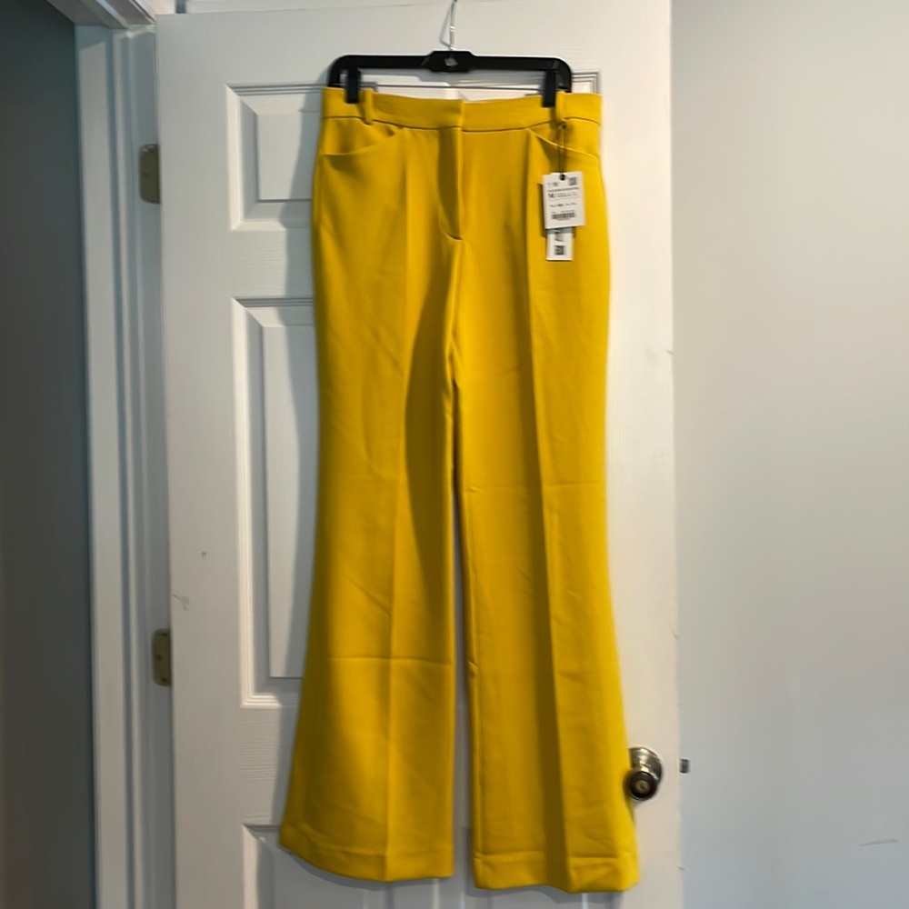 Zara Pants